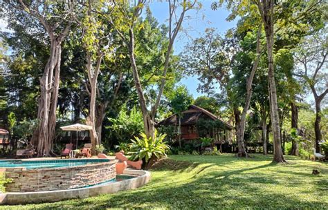 thailand rehab retreat|About Treehouse Thailand Rehab and Wellness Retreat.